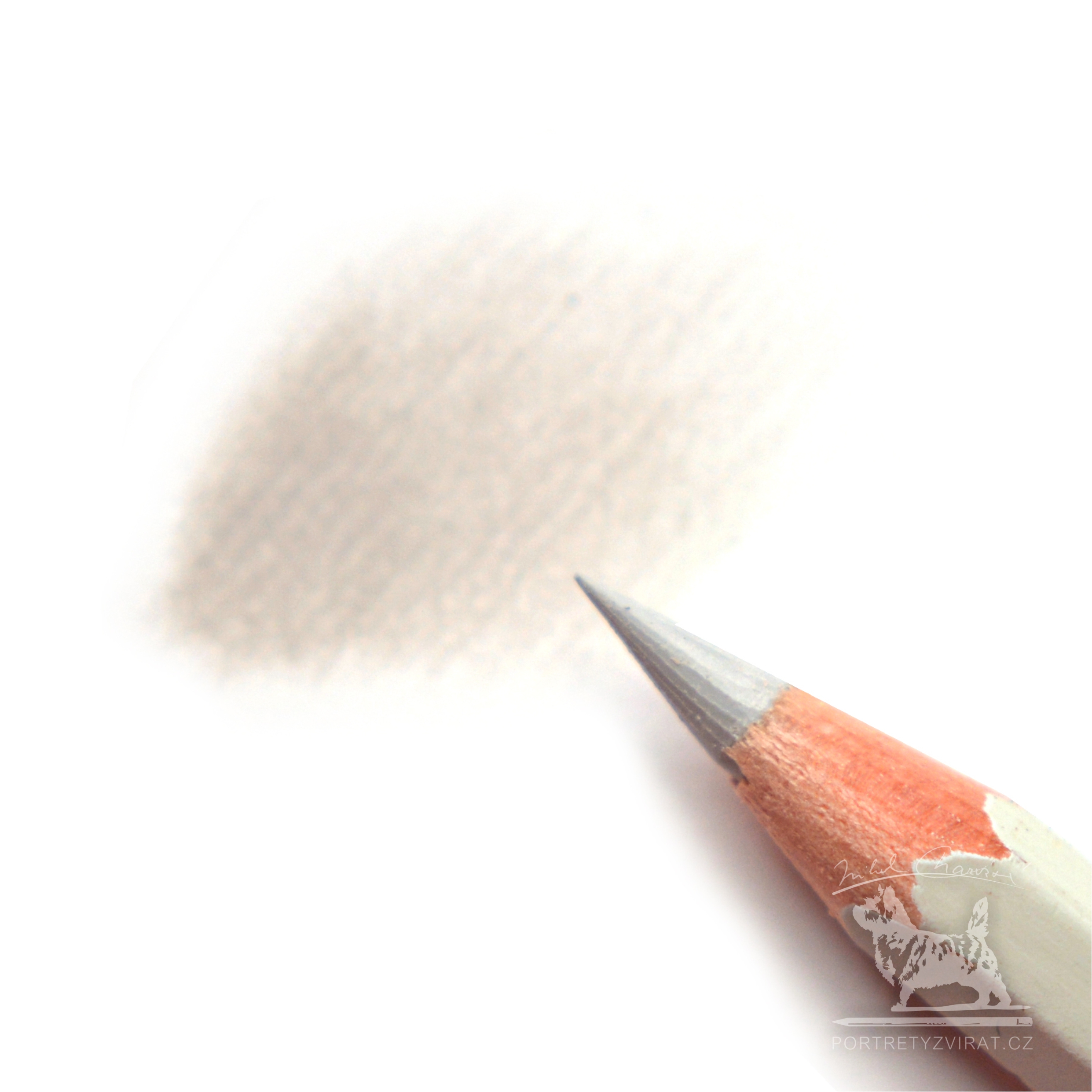 Caran d'Ache Pablo - 402 Light Beige