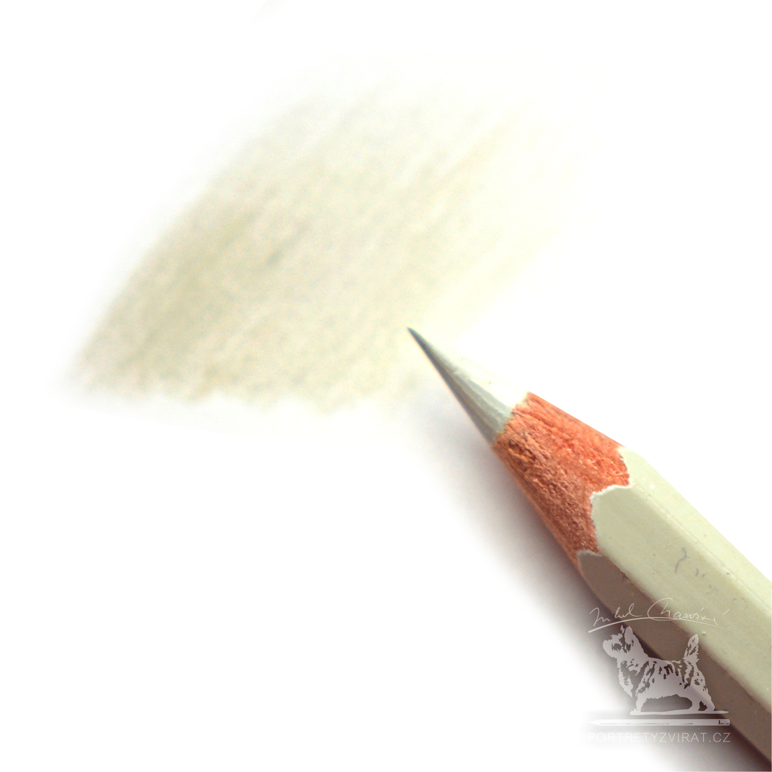 Caran d'Ache Pablo - 401 Ash Grey