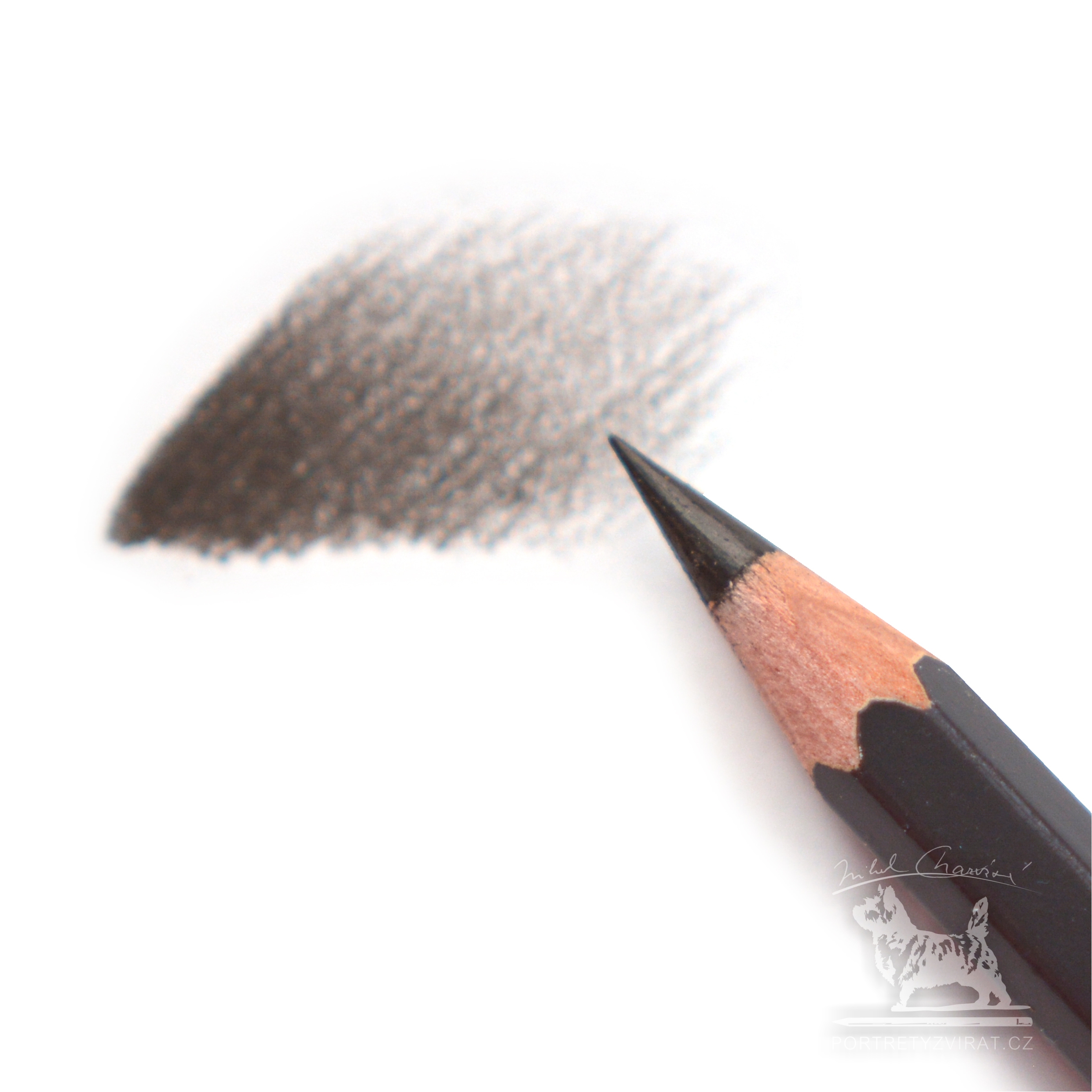 Caran d'Ache Pablo - 407 Sepia