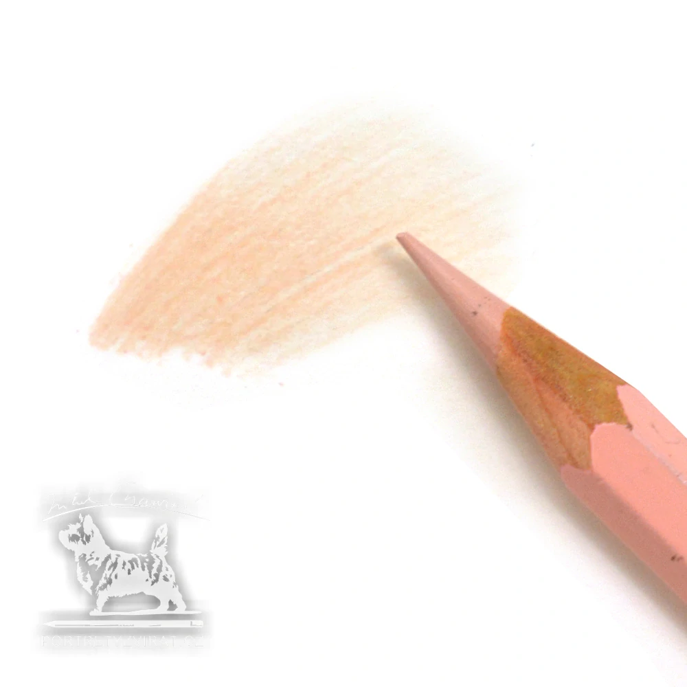 Caran d'Ache Pablo - 493 Granite Rose
