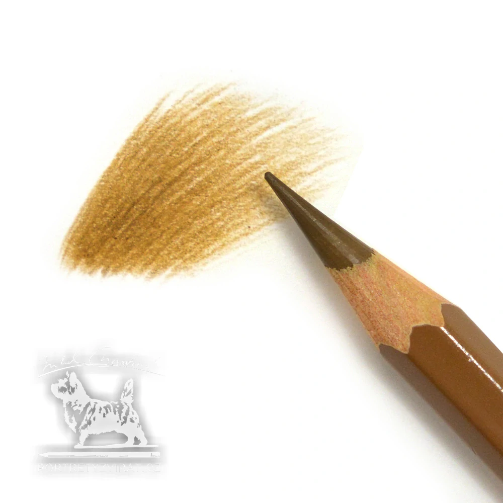 Caran d'Ache Pablo - 037 Brown Ochre