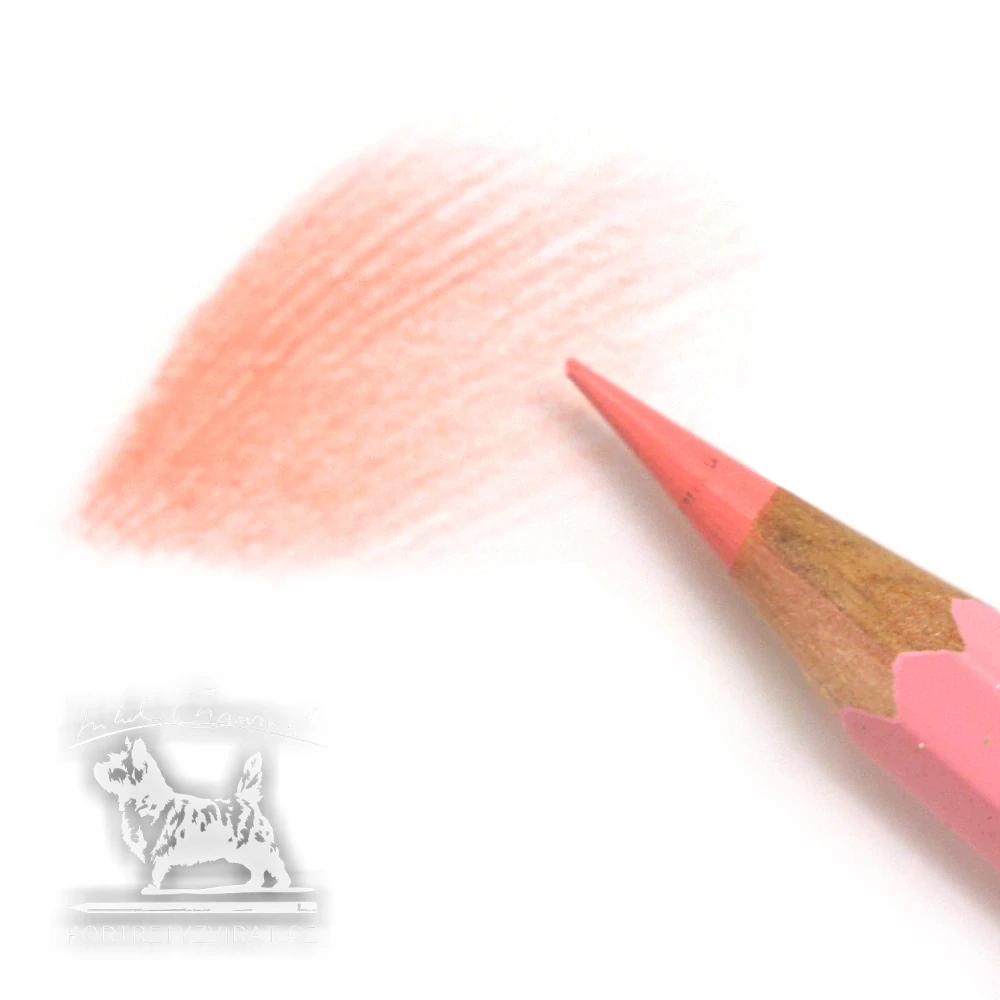 Caran d'Ache Pablo - 071 Salmon Pink