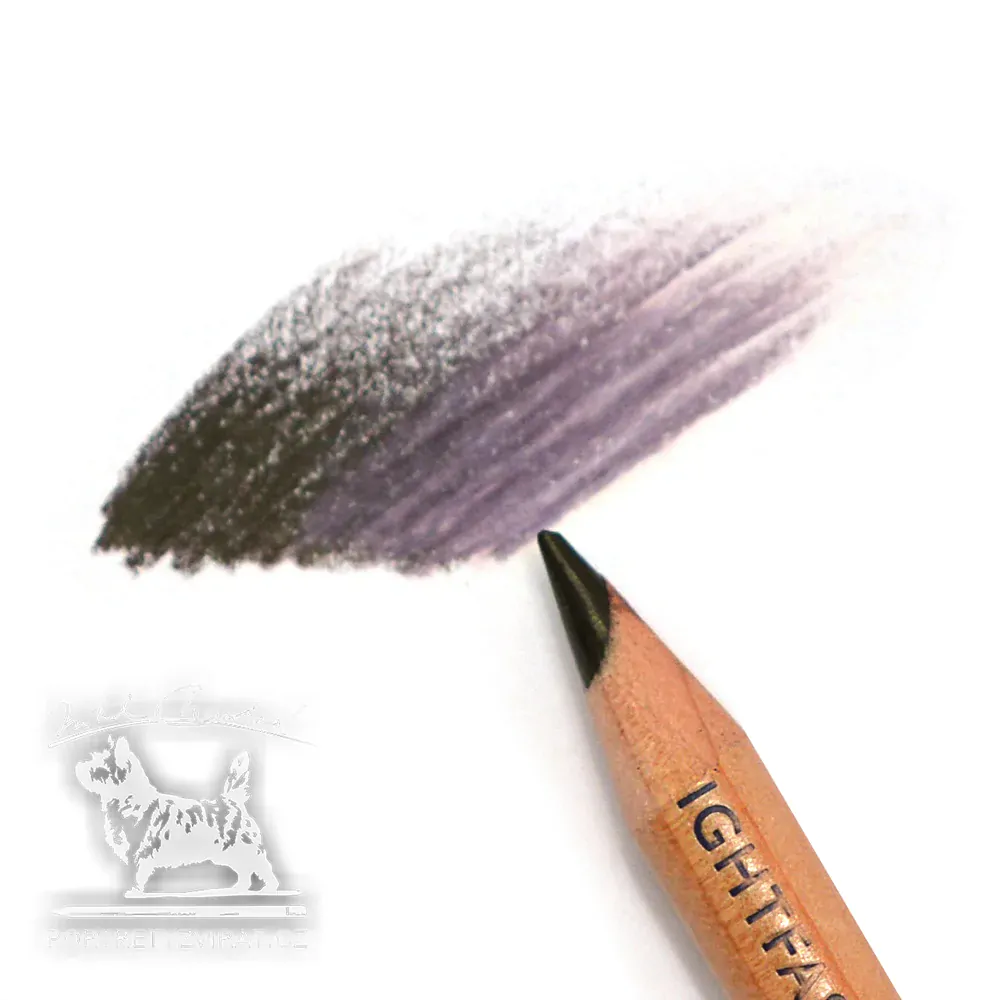 Derwent Lightfast - Mars Black