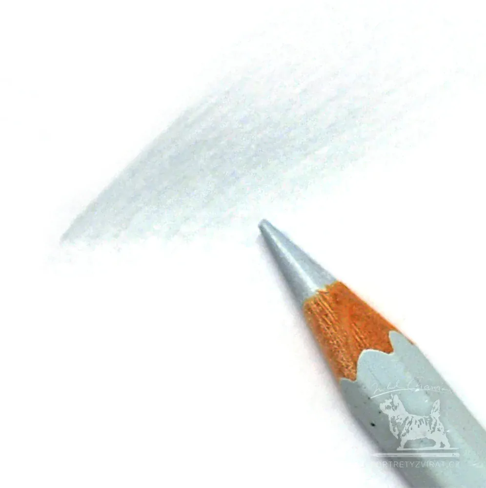 Caran d'Ache Pablo - 002 Silver grey