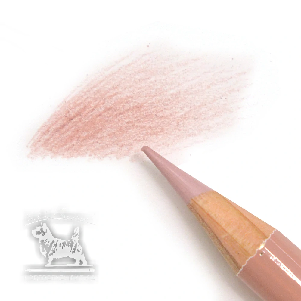 Holbein - OP076 Ash Rose