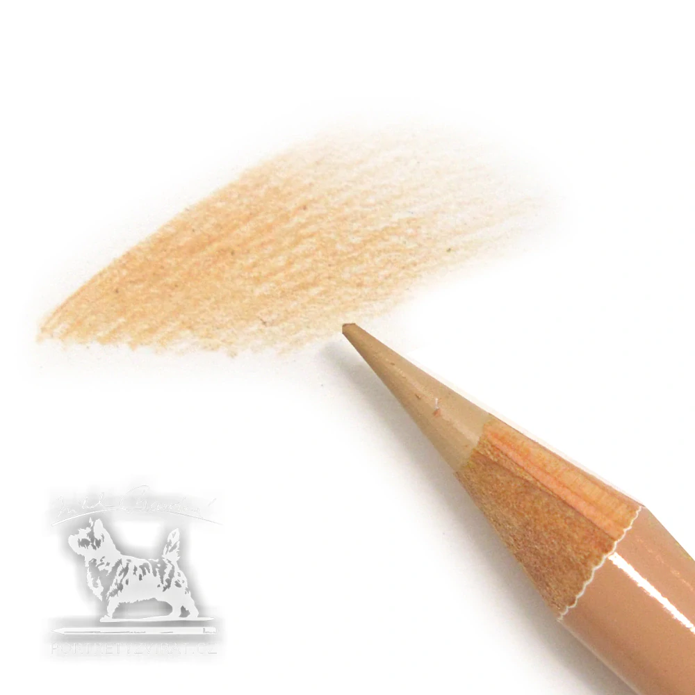 Holbein - OP171 Cork