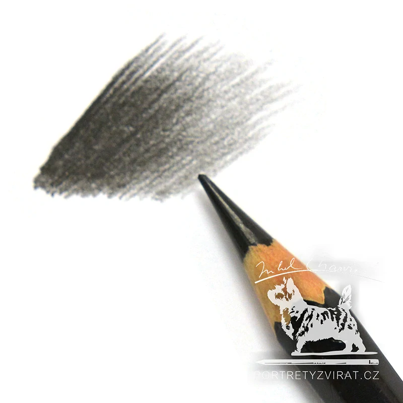 Caran d'Ache Pablo - 496 Ivory Black