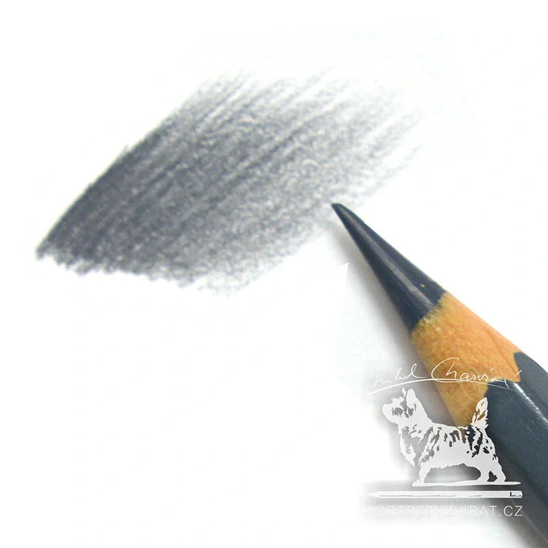 Caran d'Ache Pablo - 008 Greyish Black