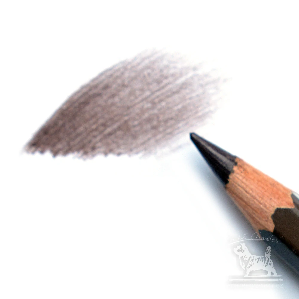 Caran d'Ache Pablo - 045 Vandyke Brown