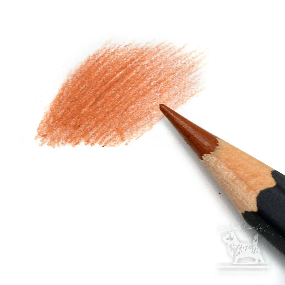 Caran d'Ache Museum Aquarelle - 055 Cinnamon