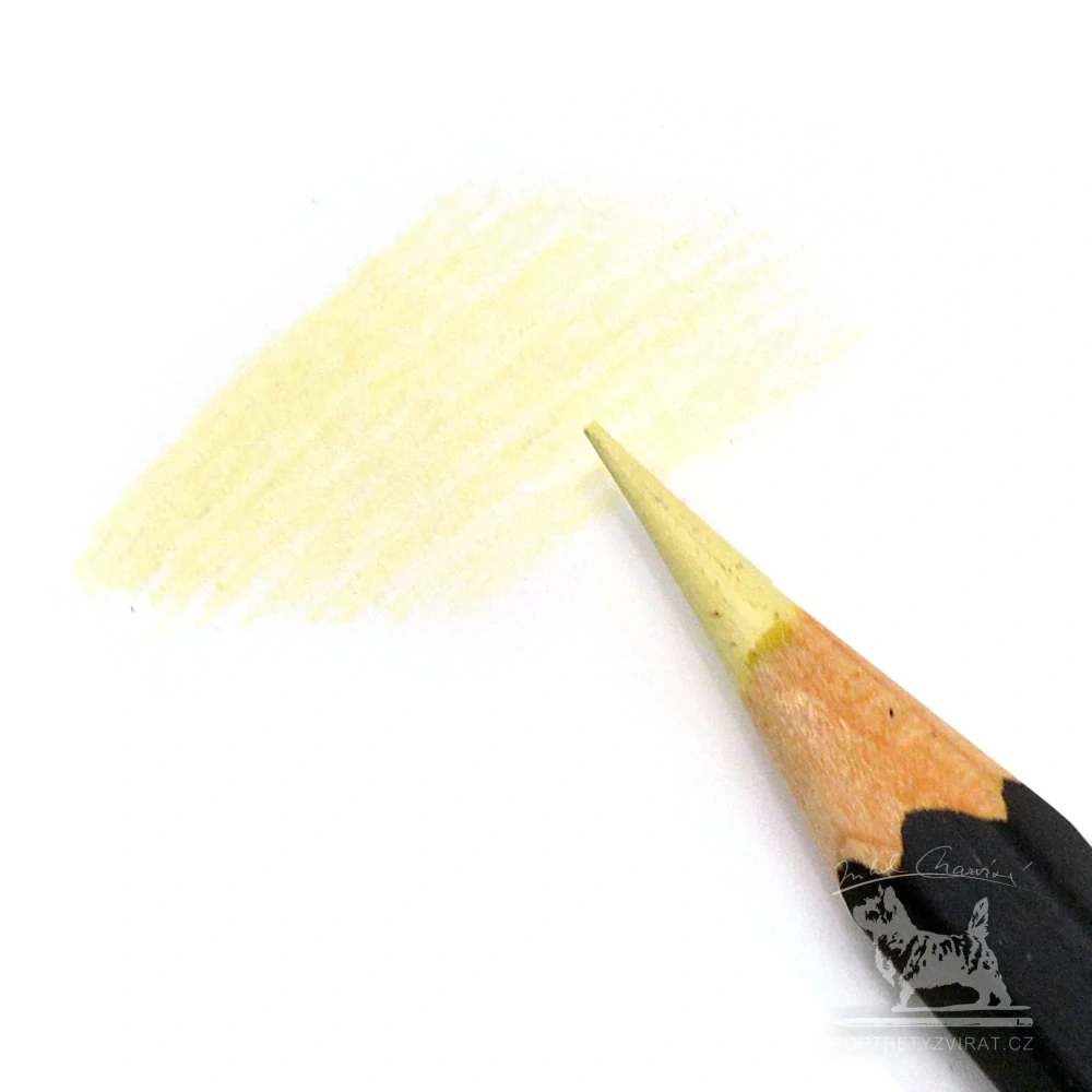 Caran d'Ache Museum Aquarelle - 242 Primerose