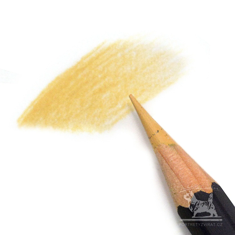 Caran d'Ache Museum Aquarelle - 542 Butternut