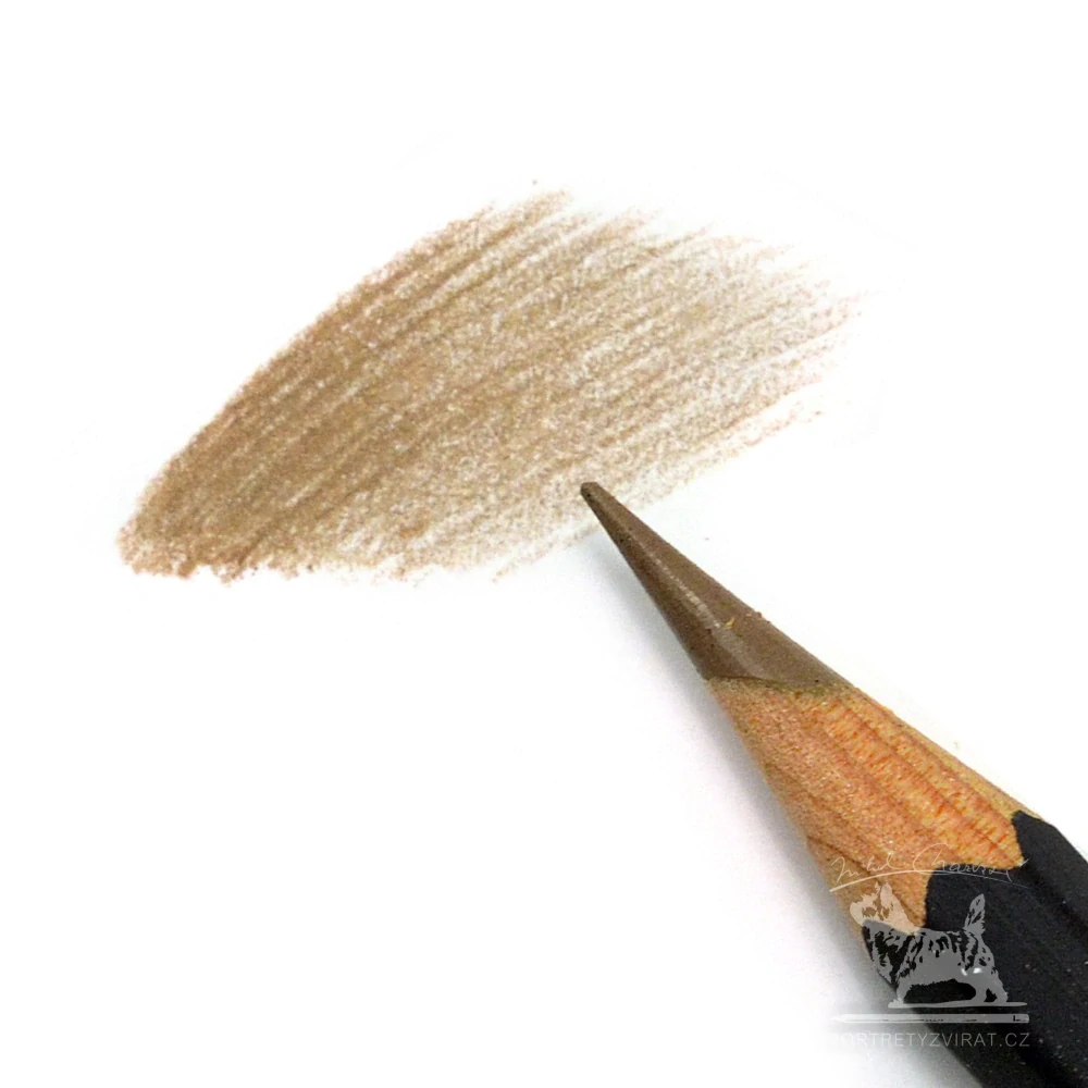 Caran d'Ache Museum Aquarelle - 746 Warm Earth 50%