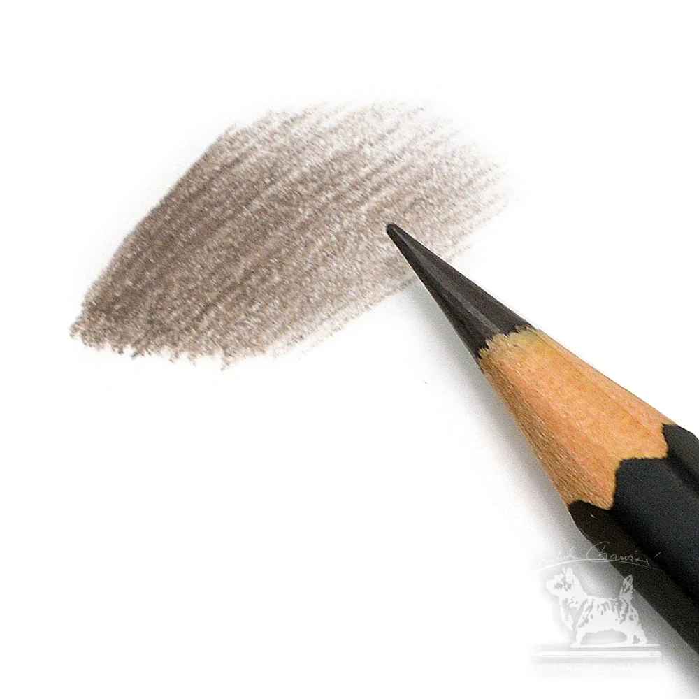 Caran d'Ache Museum Aquarelle - 906 Sepia 50%