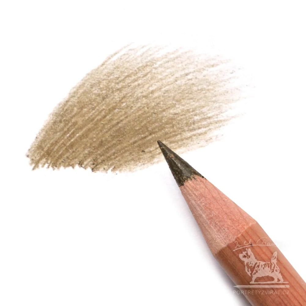 Caran d'Ache Luminance - 548 Raw umber