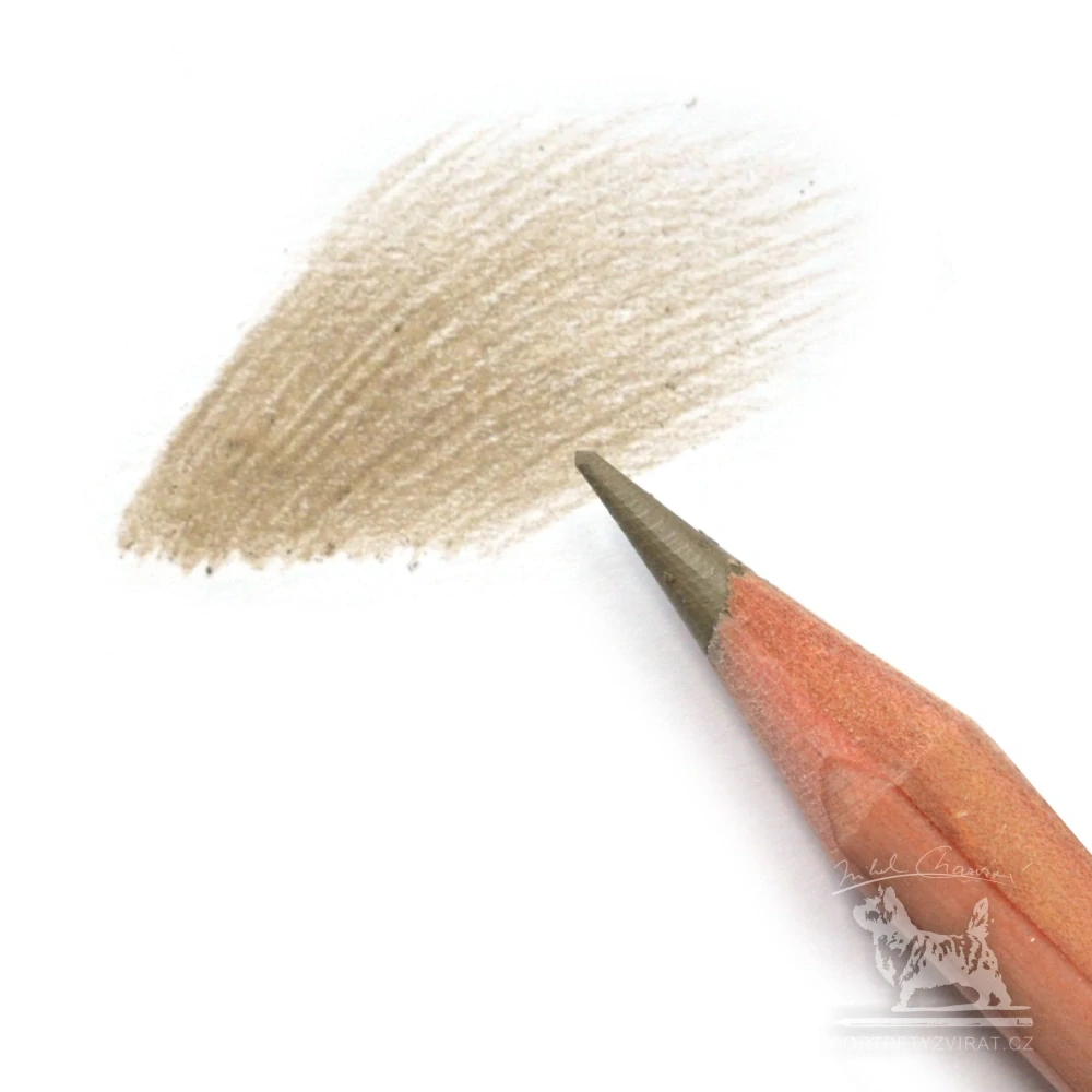 Caran d'Ache Luminance - 846 Raw umber 50%