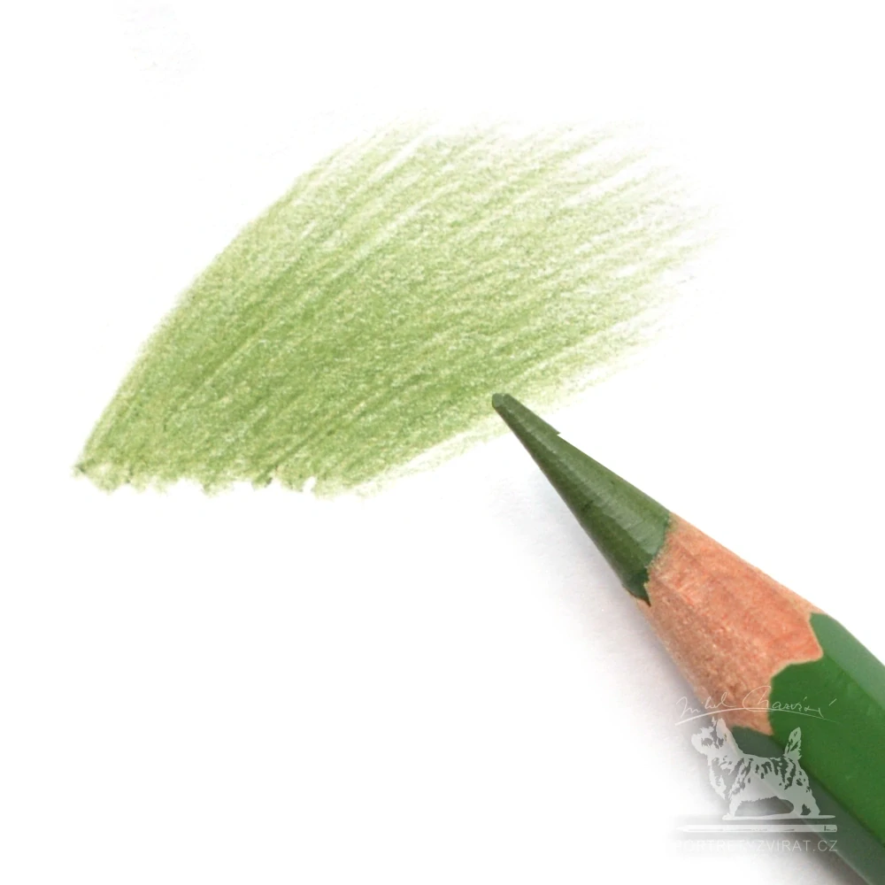Caran d'Ache Pablo - 225 Moss Green