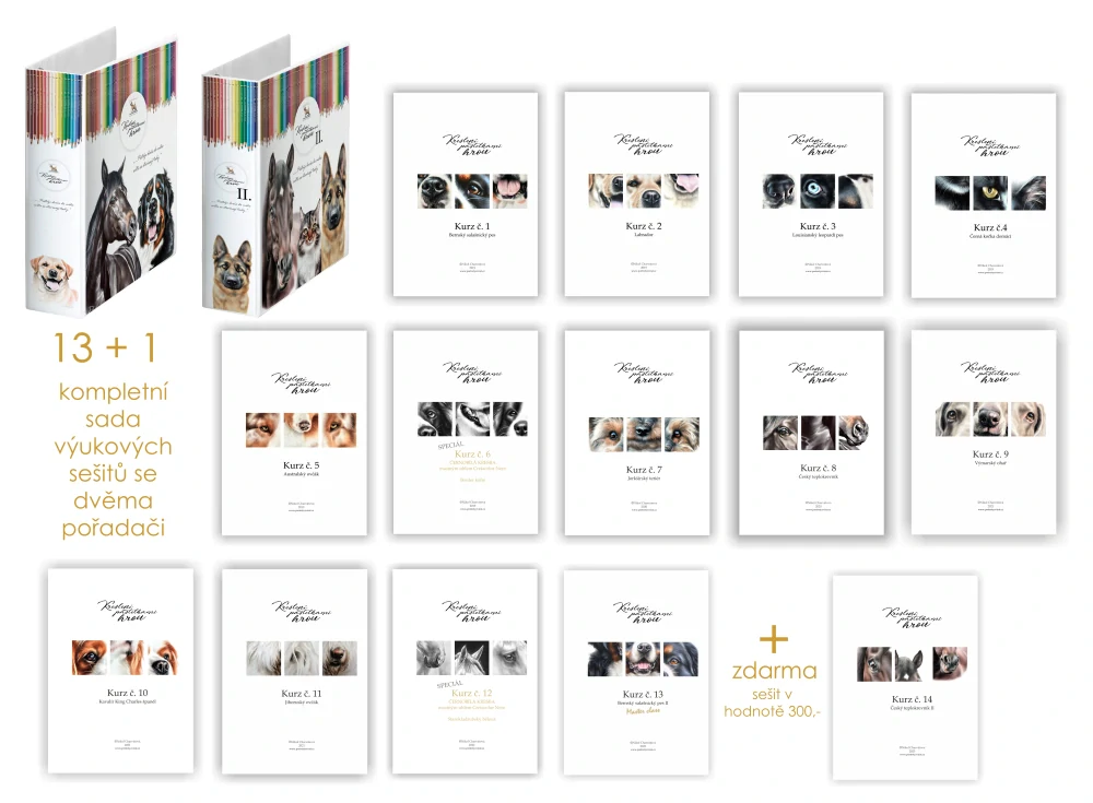 Sešitový box pro sběratele 13 + 1 včetně dvou pořadačů