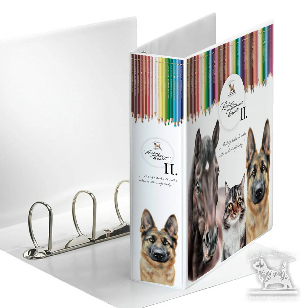 Sešitový box pro sběratele 13 + 1 včetně dvou pořadačů