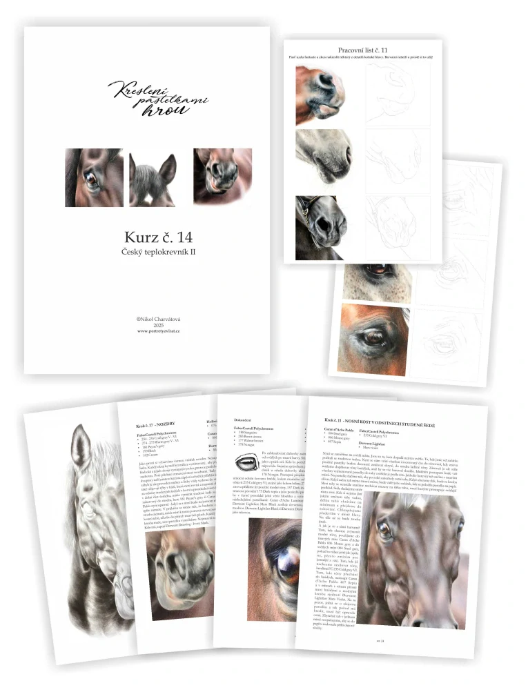 Sešitový box pro sběratele 13 + 1 včetně dvou pořadačů