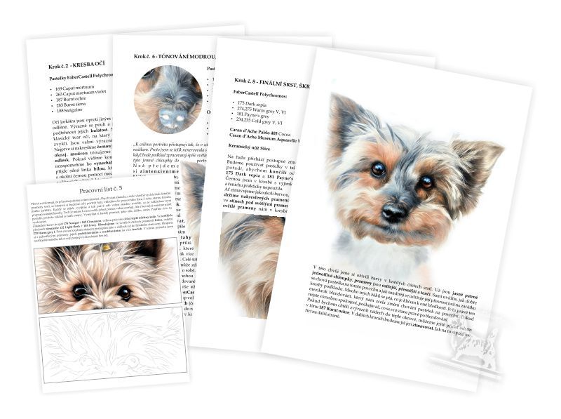 Výukový sešit č. 7 - Jorkšírský teriér