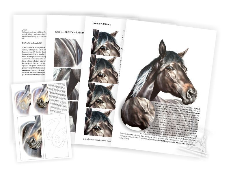 Výukový sešit č. 8 - Český teplokrevník