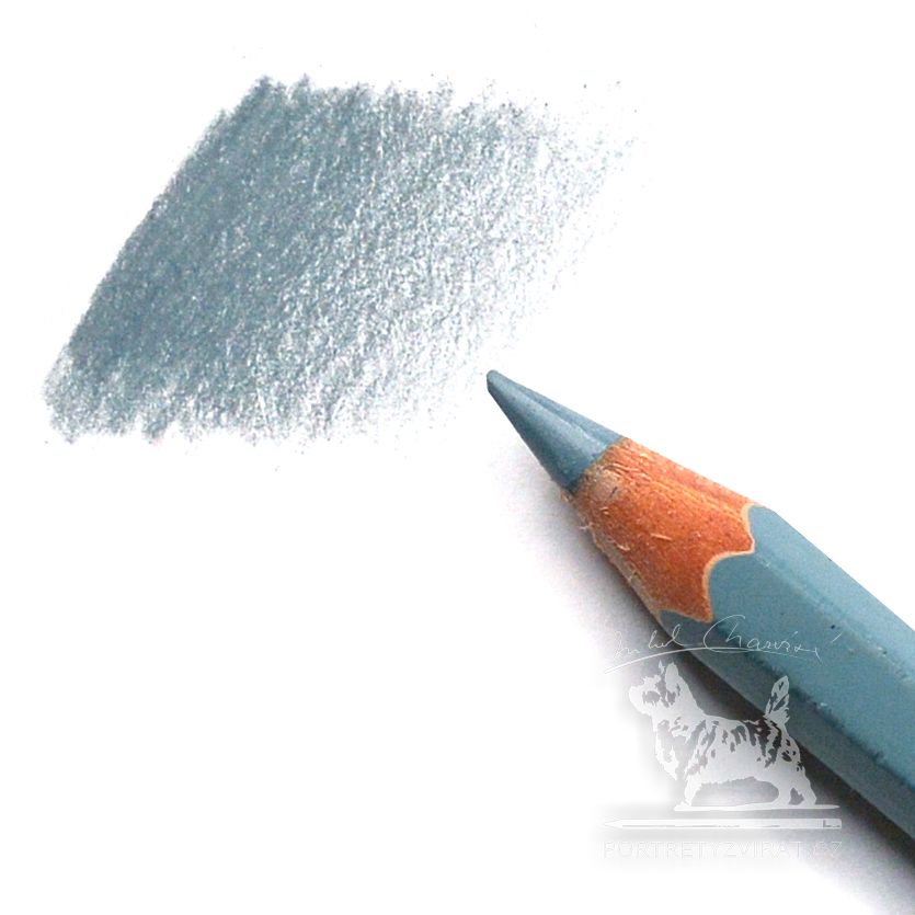Caran d'Ache Pablo - 006 Mouse grey