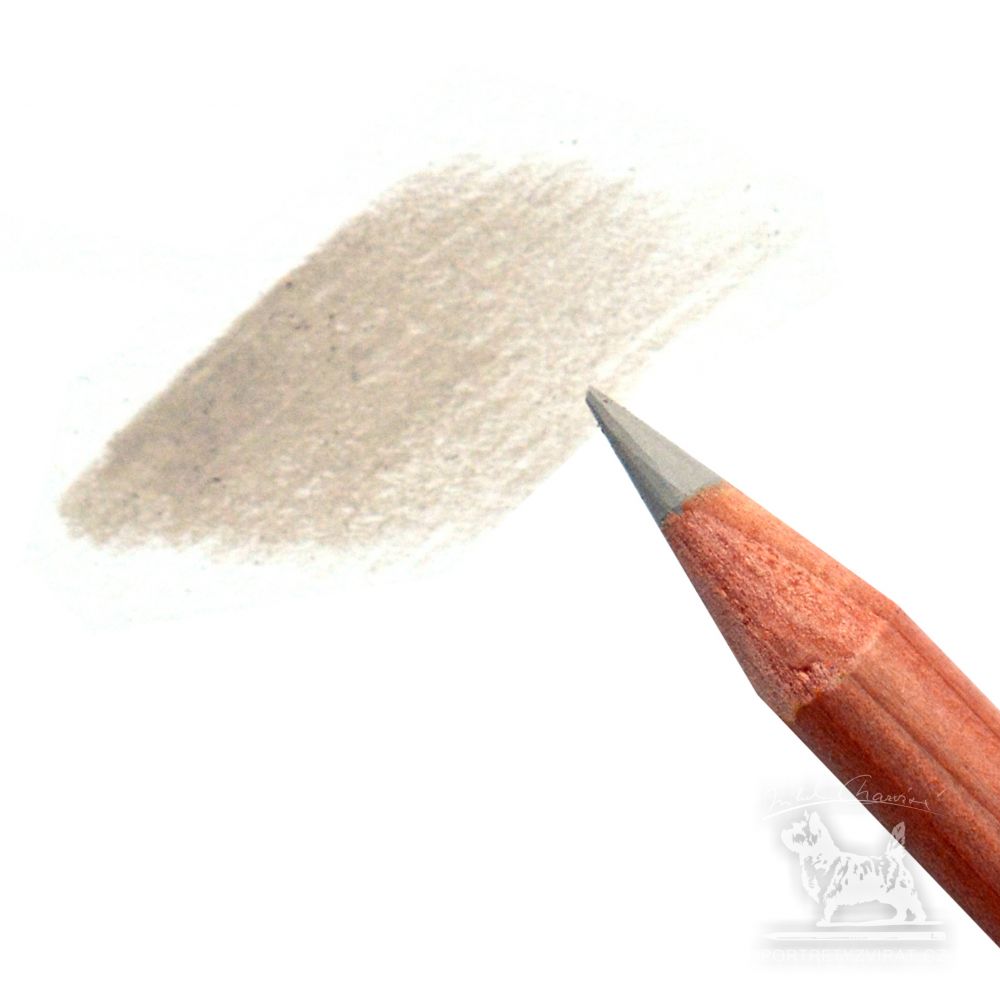 Caran d'Ache Luminance - 802 French Grey 10%