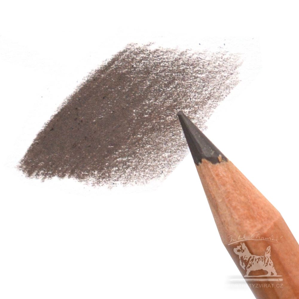 Caran d'Ache Luminance - 906 Sepia 50%