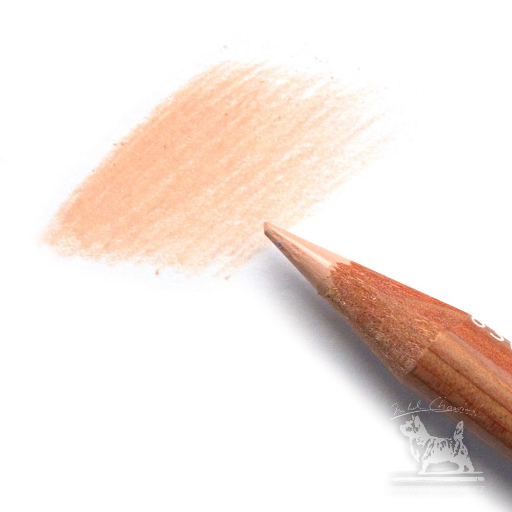 Caran d'Ache Luminance - 872 Burnt Ochre 10%