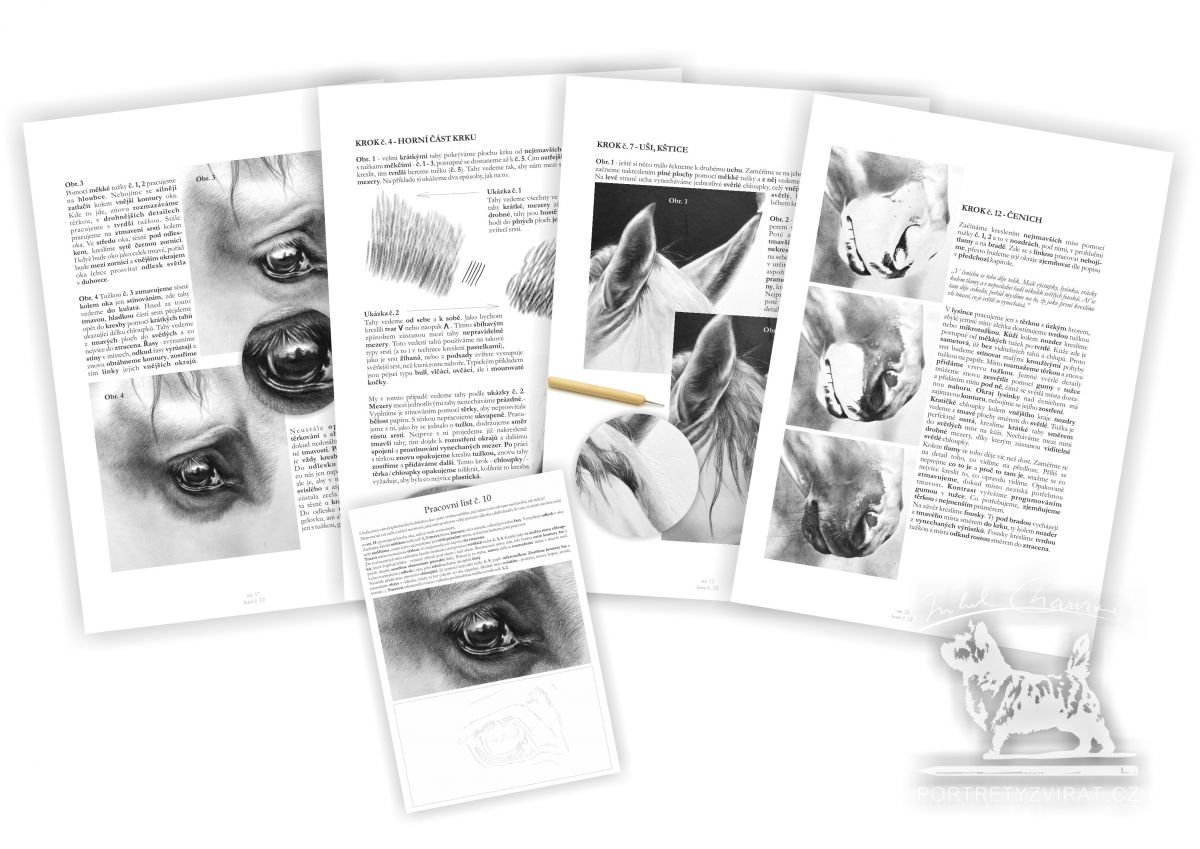 Výukový sešit č. 12 - Starokladrubský bělouš