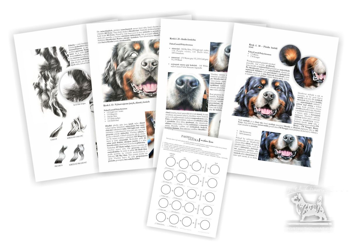 Výukový sešit č. 13 - Bernský salašnický pes - Master class