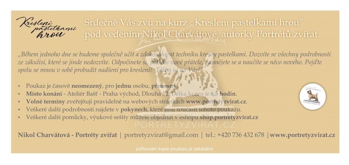 Dárkový poukaz na kurz kreslení "Kreslení pastelkami hrou"