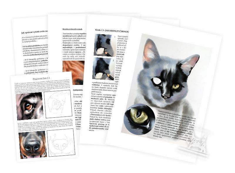 Výukový sešit č. 4 - Černá kočka domácí