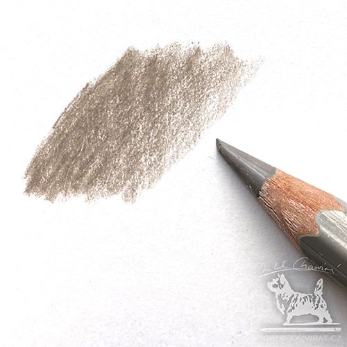 Caran d'Ache Pablo - 403 Beige
