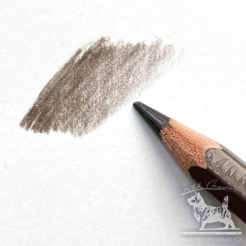 Caran d'Ache Pablo - 404 Brownisch beige