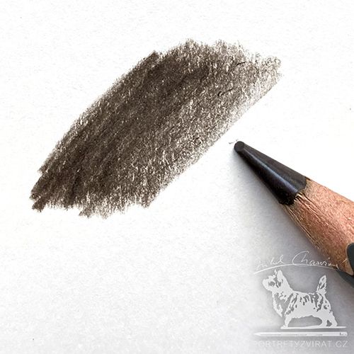 Caran d'Ache Pablo - 405 Cocoa