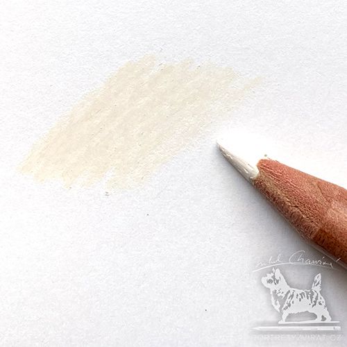 Caran d'Ache Luminance - 801 Buff Titanium