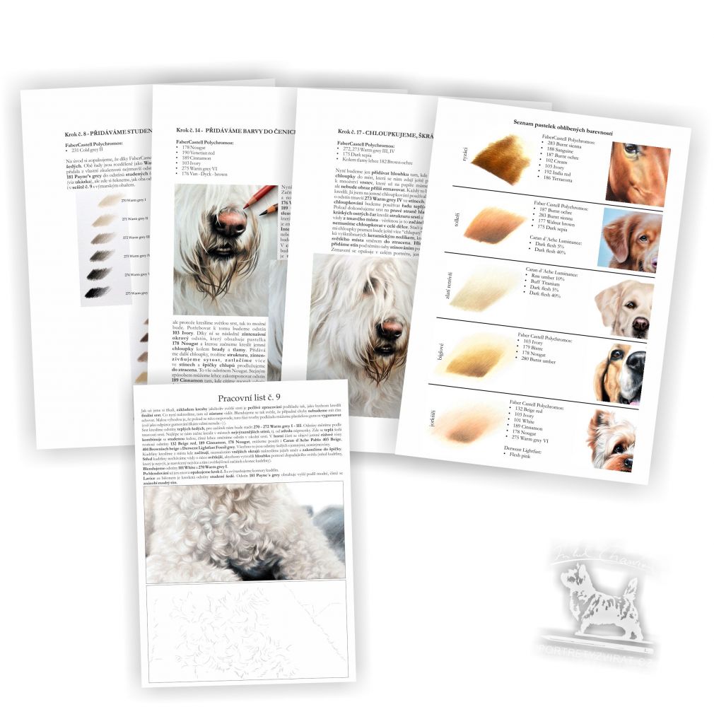 Výukový sešit č. 11 - Jihoruský ovčák