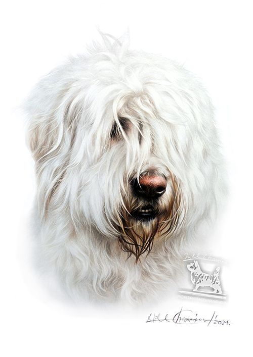 Výukový sešit č. 11 - Jihoruský ovčák