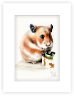 Křeček - 20 x 30 cm s paspartou