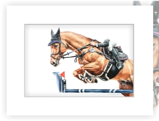 Kůň ve skoku - 20 x 30 cm s paspartou