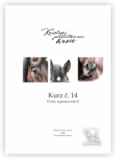 Výukový sešit č. 14 - Český teplokrevník II