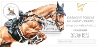 Poukaz na nákup v eshopu 500 Kč
