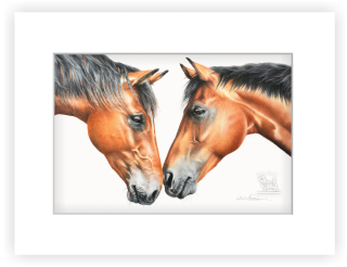 Dva koně - 20 x 30 cm s paspartou