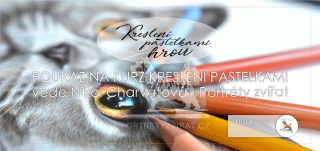 Dárkový poukaz na kurz kreslení "Kreslení pastelkami hrou"