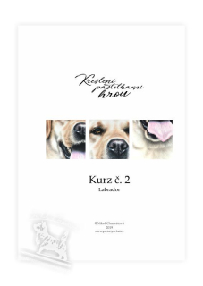 Výukový sešit č. 2 - Labrador