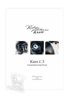 Výukový sešit č. 3 - Louisianský leopardí pes