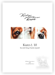 Výukový sešit č. 10 - Kavalír King Charles Španěl